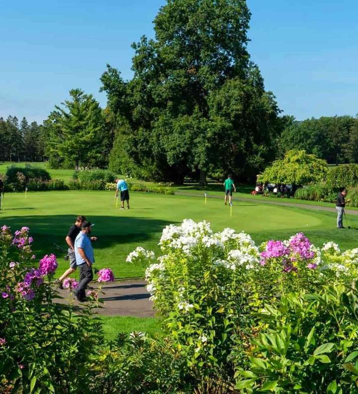 Exceptional golf course L'Île-Bizard
